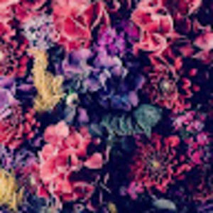 Meet your Posher, Antonia